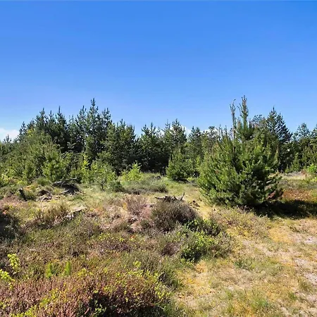Feriehus Jb538-fjerritslev-tyttebaerstien-33 Fjerritslev
